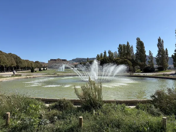 8e arrondissement immobilier Marseille